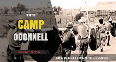 Unveiling Camp O'Donnell: History, Significance, and Legacy Explained