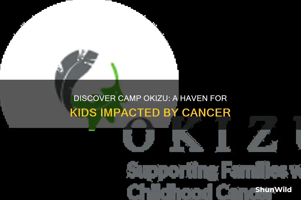 what is camp okizu