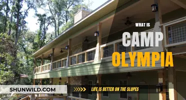 Discover Camp Olympia: A Summer Adventure for Kids and Teens
