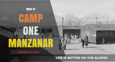 Unveiling Camp One Manzanar: A Historical Overview of the Internment Site