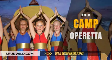 Exploring Camp Operetta: A Whimsical Blend of Drama and Music