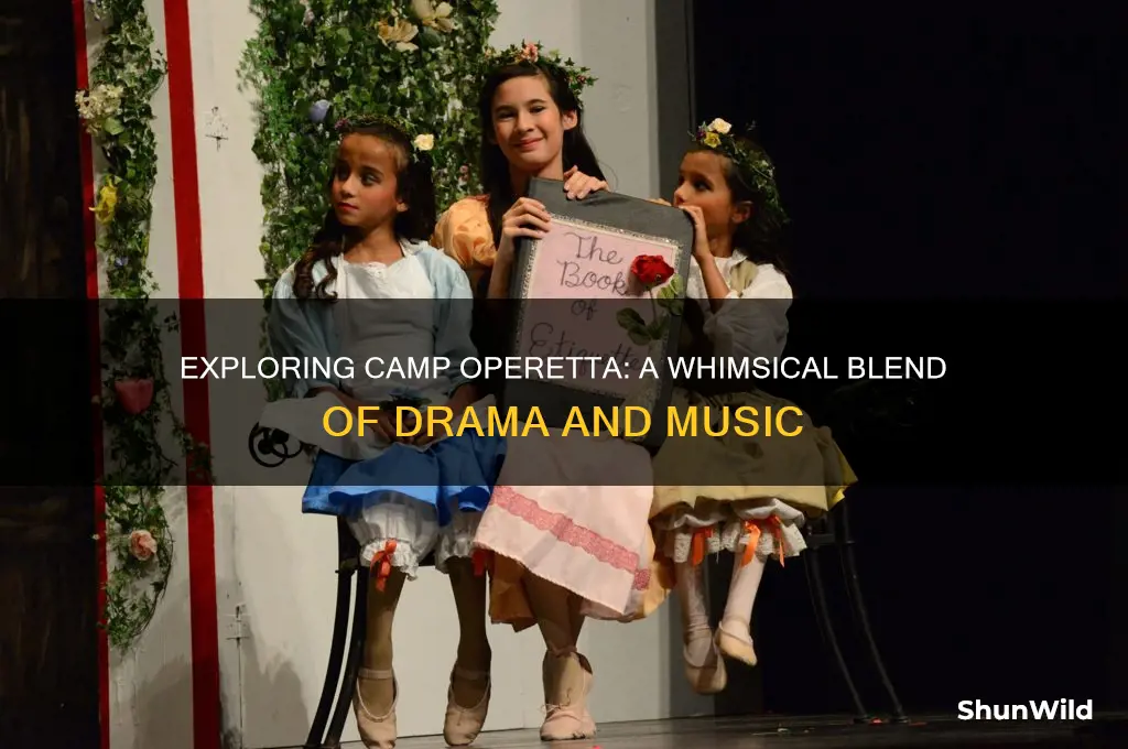 what is camp operetta