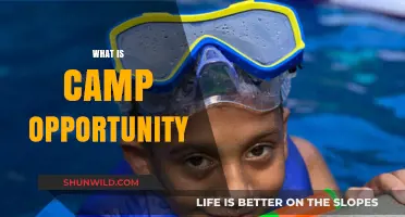 Discover Camp Opportunity: A Life-Changing Experience for Youth Empowerment