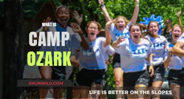Exploring Camp Ozark: A Unique Summer Adventure Experience Revealed