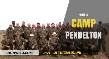 Exploring Camp Pendleton: History, Mission, and Impact of the Marine Base