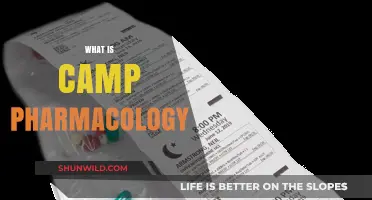 Understanding Camp Pharmacology: Essential Medication Management for Outdoor Adventures