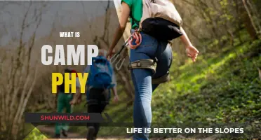Discover Camp Phy: Unveiling the Ultimate Fitness Adventure Experience