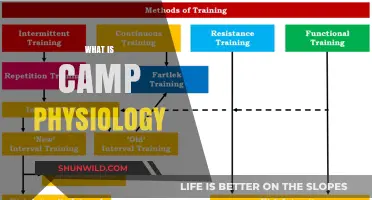 Understanding Camp Physiology: Training, Adaptation, and Outdoor Performance Insights