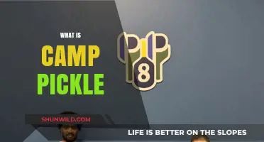 Discover Camp Pickle: The Ultimate Summer Adventure for Pickleball Enthusiasts