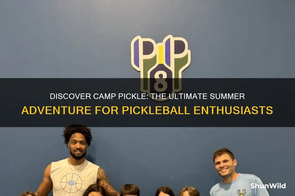 what is camp pickle