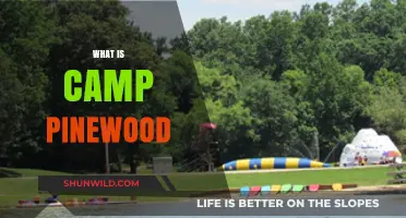 Exploring Camp Pinewood: A Hidden Gem for Outdoor Enthusiasts