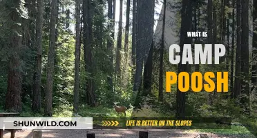 Discover Camp Poosh: Kourtney Kardashian's Wellness Retreat Explained