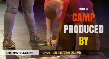 Understanding Camp Production: Key Elements and Creative Processes Explained