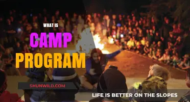 Exploring Camp Programs: Fun, Learning, and Adventure for Kids