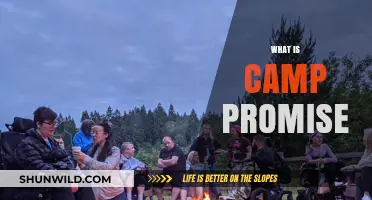 Discover Camp Promise: A Life-Changing Experience for Youth and Community
