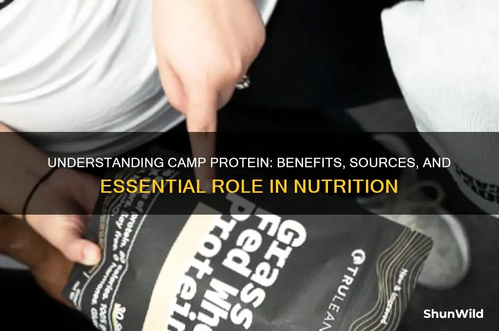 what is camp protein