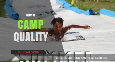 Discover Camp Quality: Transforming Lives Through Fun and Support