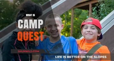 Exploring Camp Quest: A Secular Summer Camp for Curious Kids