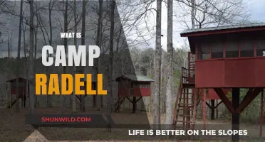Exploring Camp Radell: A Hidden Gem for Outdoor Enthusiasts