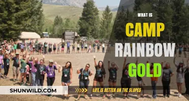 Discover Camp Rainbow Gold: A Haven for Childhood Cancer Support