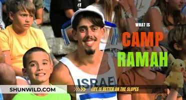 Discover Camp Ramah: A Jewish Summer Camp Experience