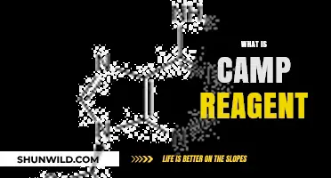Understanding Camp Reagent: Uses, Preparation, and Applications in Chemistry