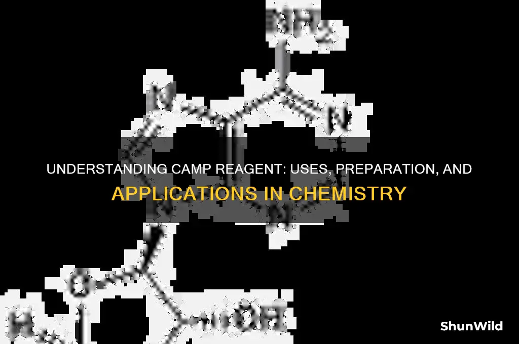 what is camp reagent