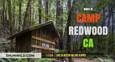 Exploring Camp Redwood: A Hidden Gem in California's Natural Beauty