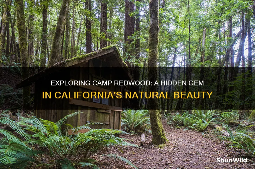 what is camp redwood ca