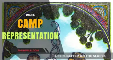 Exploring Camp Representation: Its Meaning, Impact, and Cultural Significance