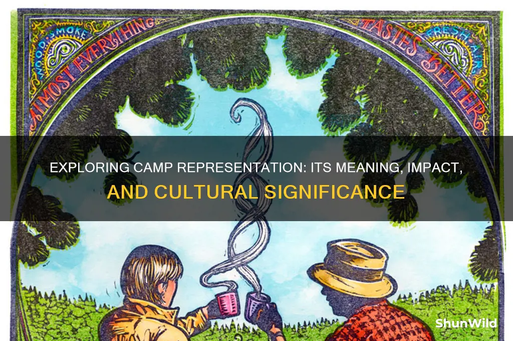what is camp representation