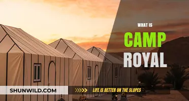 Discover the Magic: What is Camp Royal and Why It's Special