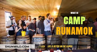 Unveiling the Wild and Whimsical World of Camp Runamok