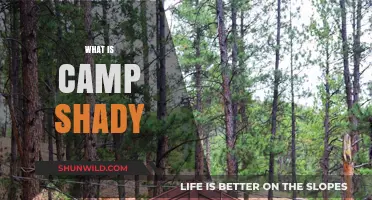 Unveiling Camp Shady: A Hidden Gem of Adventure and Mystery