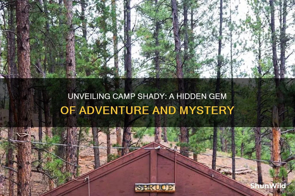 what is camp shady