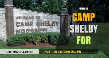 Understanding Camp Shelby: Purpose, History, and Military Training Hub