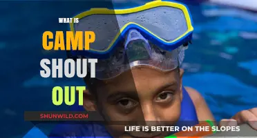 Discover Camp Shout Out: A Transformative Youth Empowerment Experience
