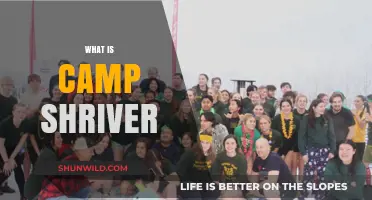 Discover Camp Shriver: Empowering Lives Through Inclusive Sports and Community