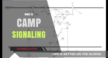 Understanding Camp Signaling: A Key Mechanism in Cellular Communication