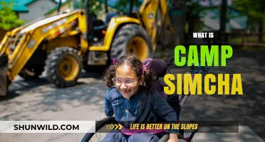 Discover Camp Simcha: A Haven of Hope and Healing for Children