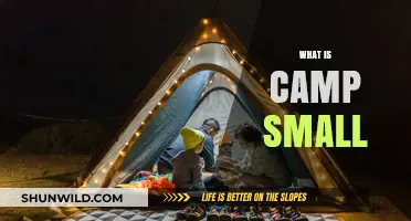 Exploring Camp Small: A Cozy Outdoor Adventure for All Ages