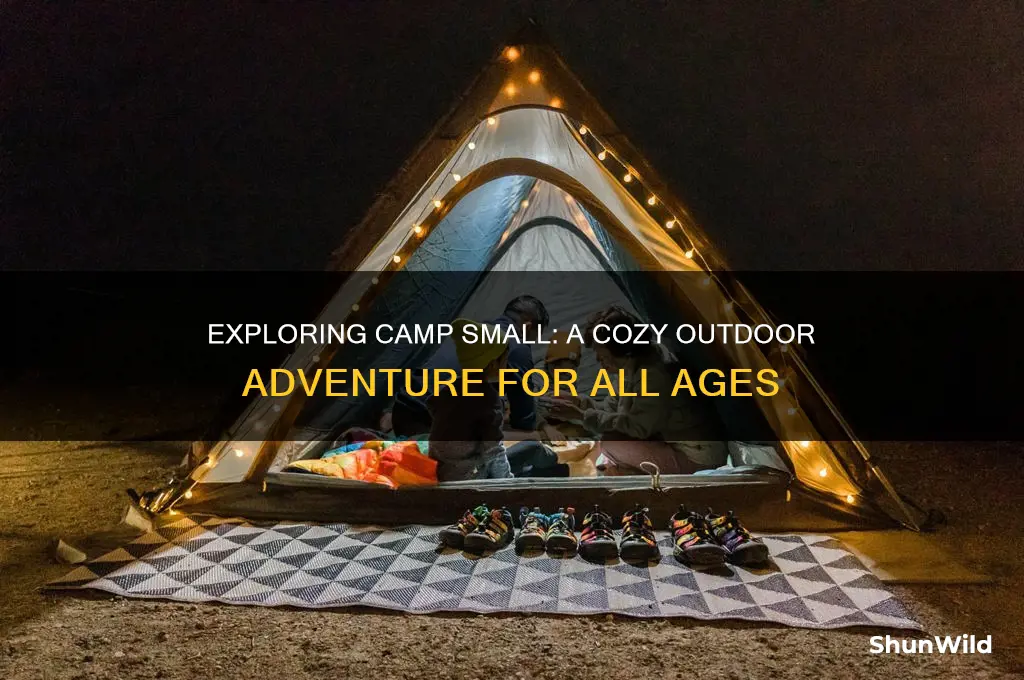 what is camp small