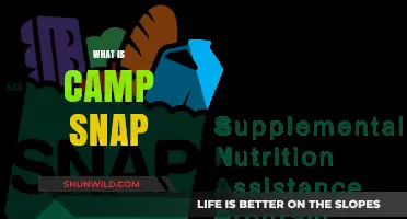 Discover Camp SNAP: Summer Nutrition for Kids Explained Simply