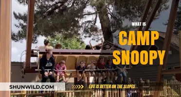 Exploring Camp Snoopy: A Fun-Filled Family Adventure at Knott's Berry Farm