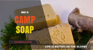 Discover the Unique Benefits and Uses of Camp Soap Today