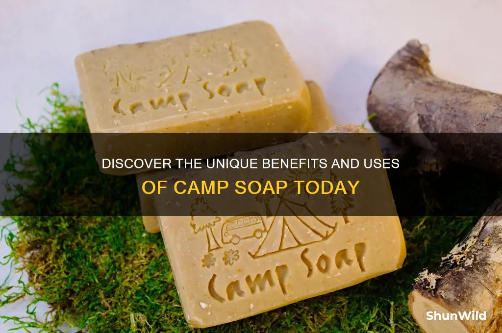 what is camp soap