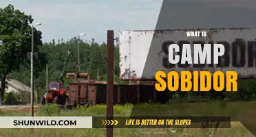 Unveiling the Dark History of Camp Sobibor: A Chilling Overview
