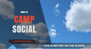 Exploring Camp Social: A Unique Community Experience for All Ages