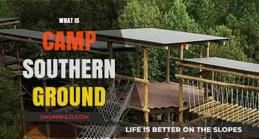 Discover Camp Southern Ground: Zac Brown's Vision for Community and Growth
