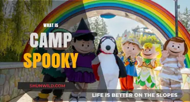 Unveiling Camp Spooky: A Hauntingly Fun Adventure Explained